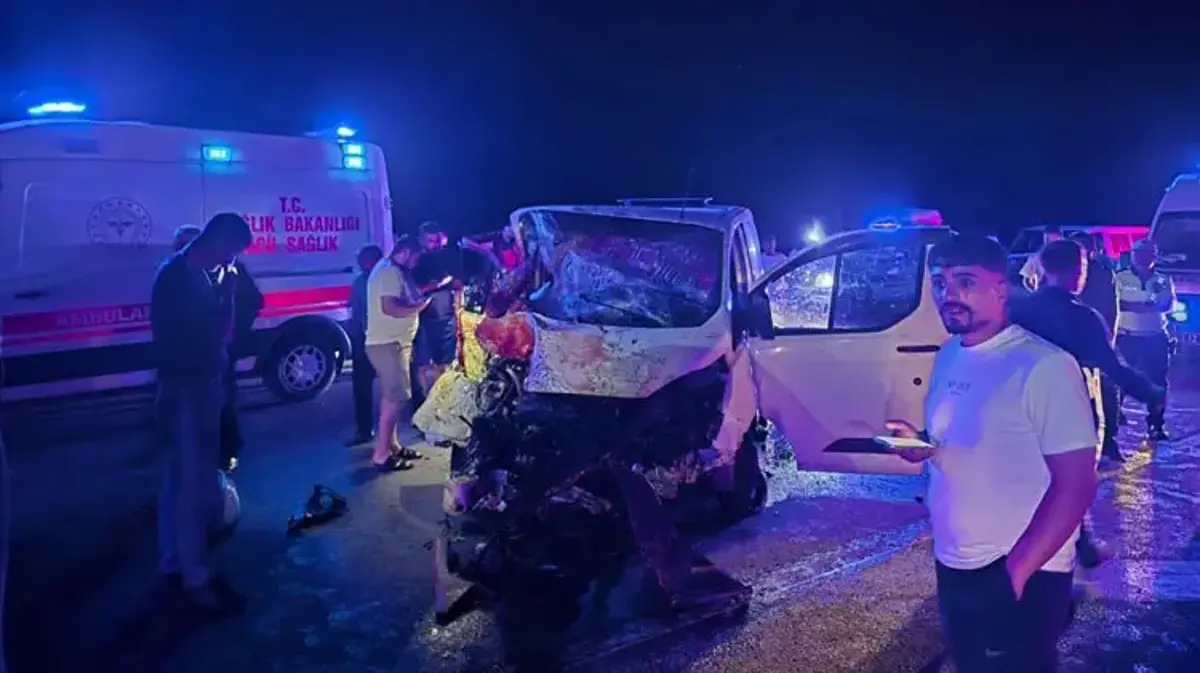 Panelvan yola çıkan ata çarptı 1 kişi hayatını kaybetti, 2 kişi yaralandı