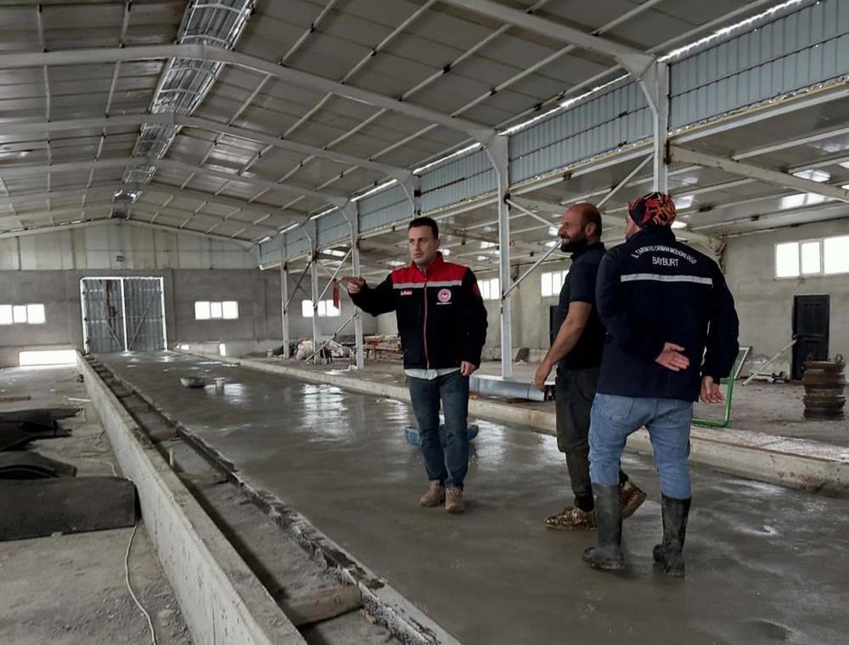 Aydıntepe'deki hayvancılık işletmelerinde kapasite değerlendirmesi yapılıyor