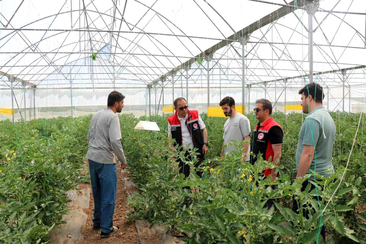 Erzincan'da seracılık faaliyetleri yerinde incelendi