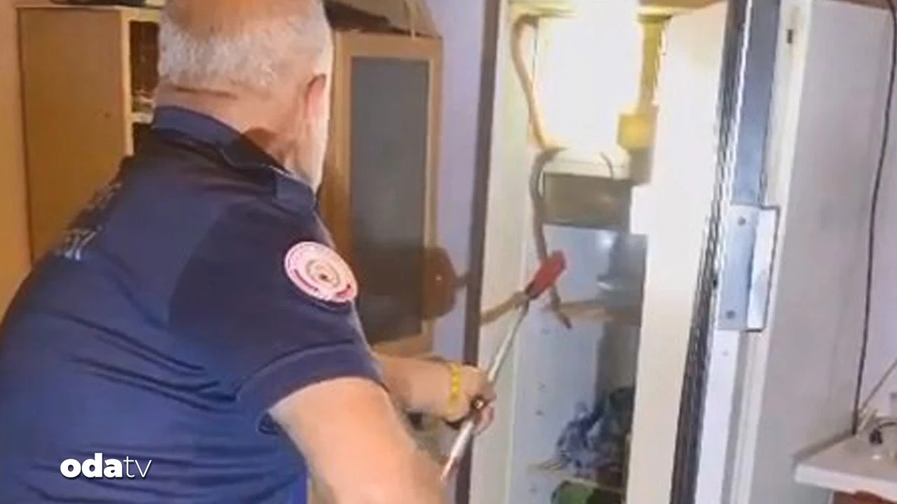 Buzdolabından yılan çıktı