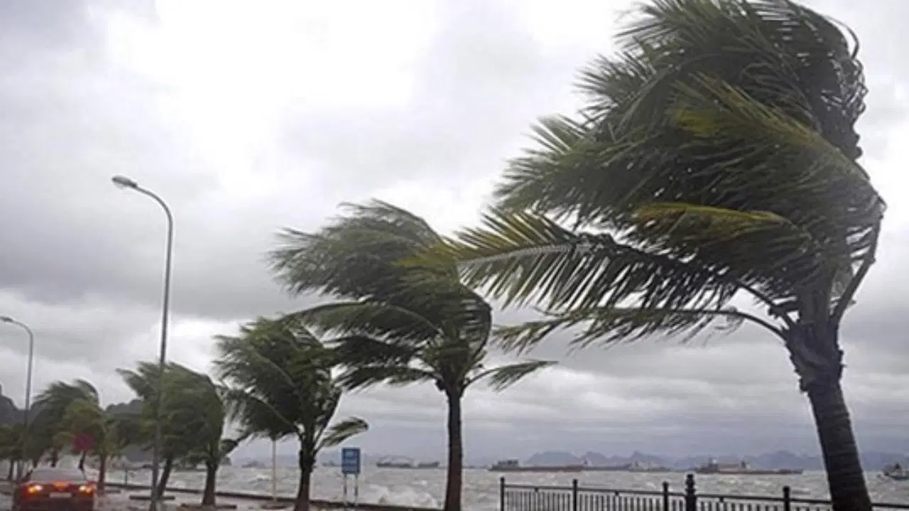Meteoroloji uyardı: Bazı bölgelerde kuvvetli rüzgar bekleniyor