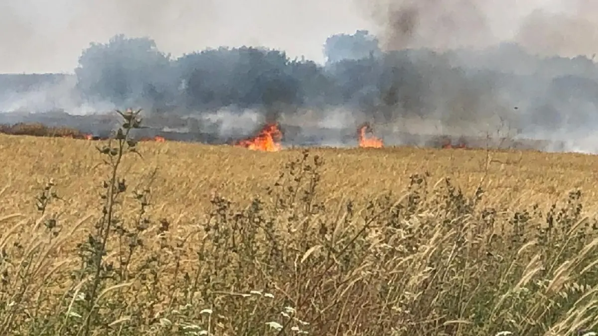 Çanakkale'de yangınların acı faturası: Milyonlarca liralık zarar açıklandı
