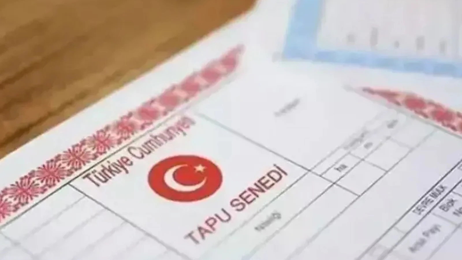 Dede ile torunun miras davasında Yargıtay'dan son karar! Sözünü tutmayan toruna şok!