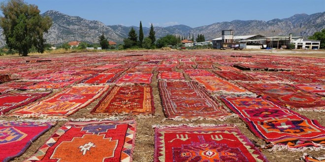 Yüzlerce yıllık halılar buğday tarlalarını renk cümbüşüne çevirdi