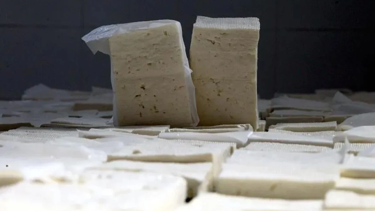 Peynirde Listeria alarmı: Buzdolabında bile çoğalabiliyor! Uzmanlardan tek tek anlattı