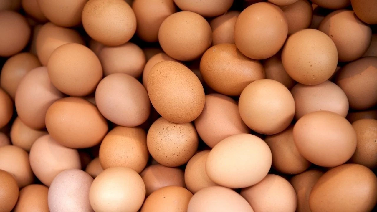 Yumurta fiyatı bir ayda 1 lira geriledi