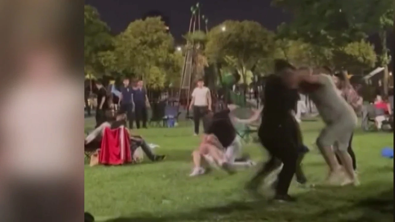 Buda piknik kavgası: İstanbul’un en işlek sahili: Kolları sıvayan çimenlere daldı