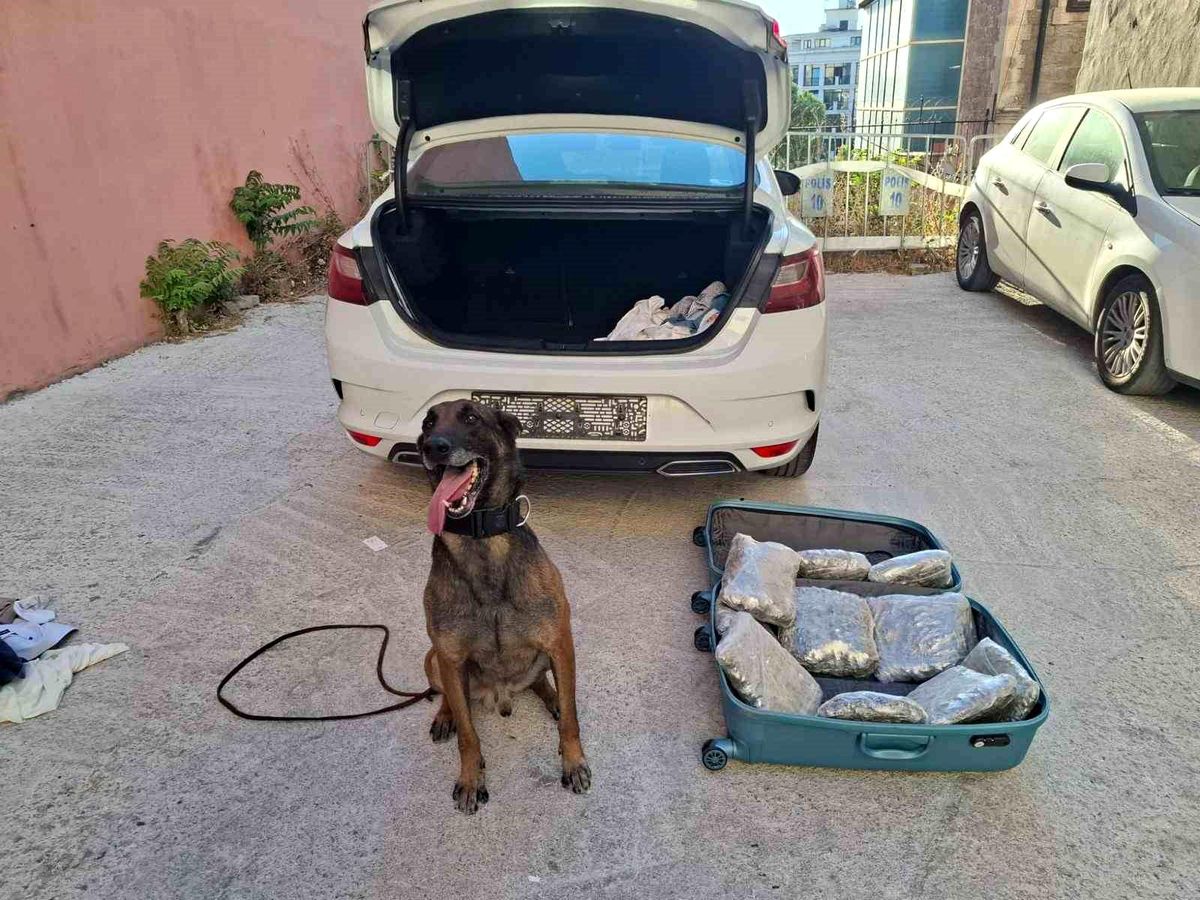 Balıkesir polisinden 'Narkorekor'