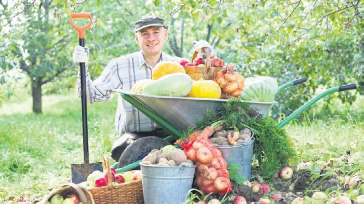 Kuraklık bitti, bereket başladı! TÜİK açıkladı: Tahılda yüzde 12, meyvede yüzde 57 üretim artışı...