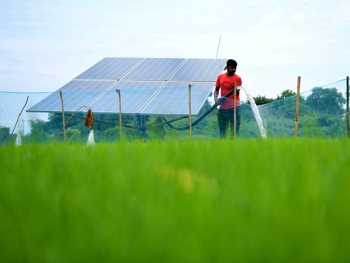 Hindistan, Güneş Enerjisi Kapasite Artışında ABD'yi Geride Bıraktı