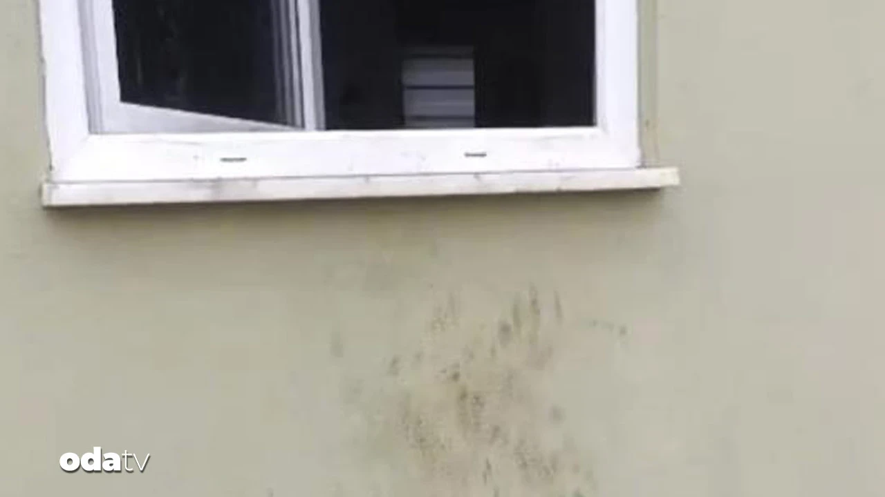 20 eve giren hırsız ayı bezdirdi