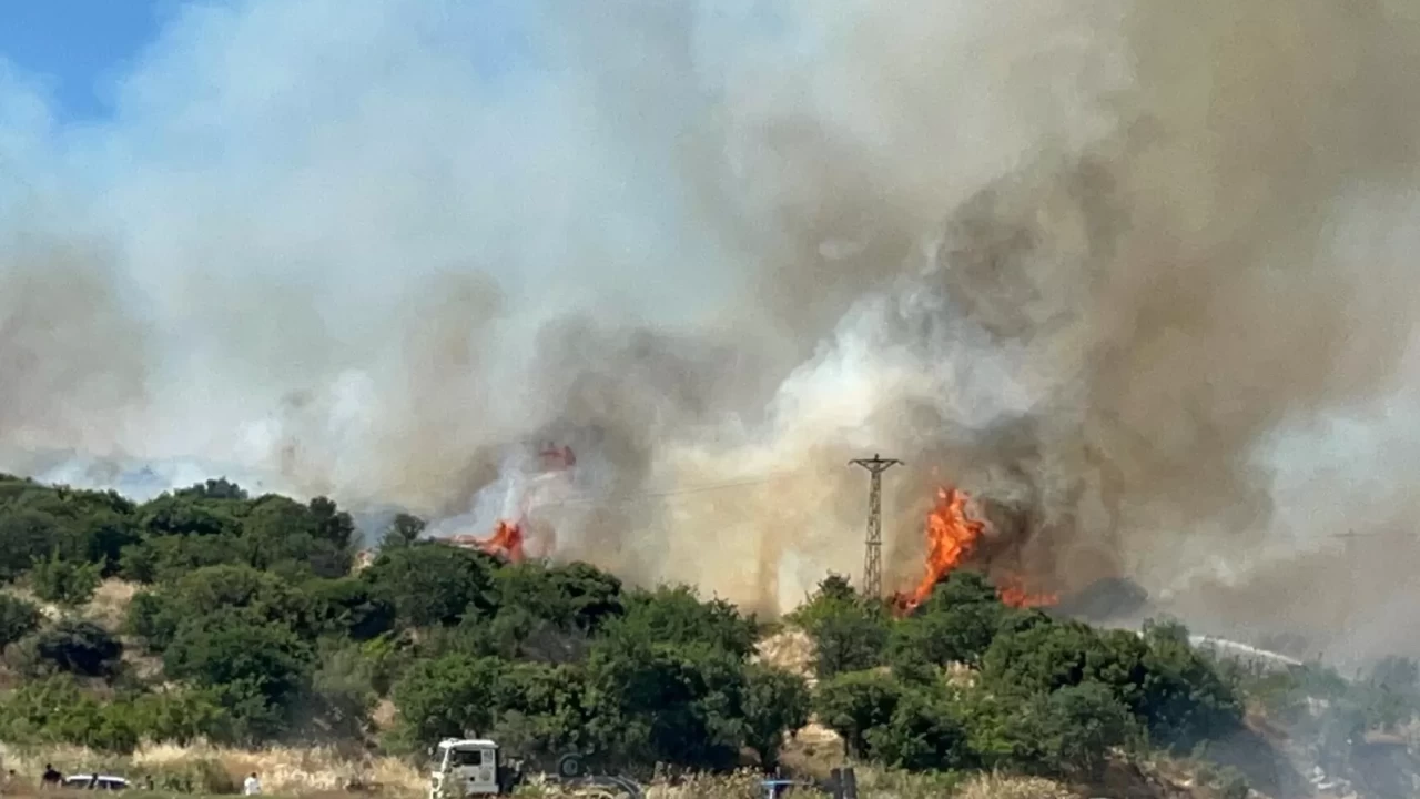 Çanakkale'de korkutan orman yangını! Rüzgarın etkisiyle yayılıyor