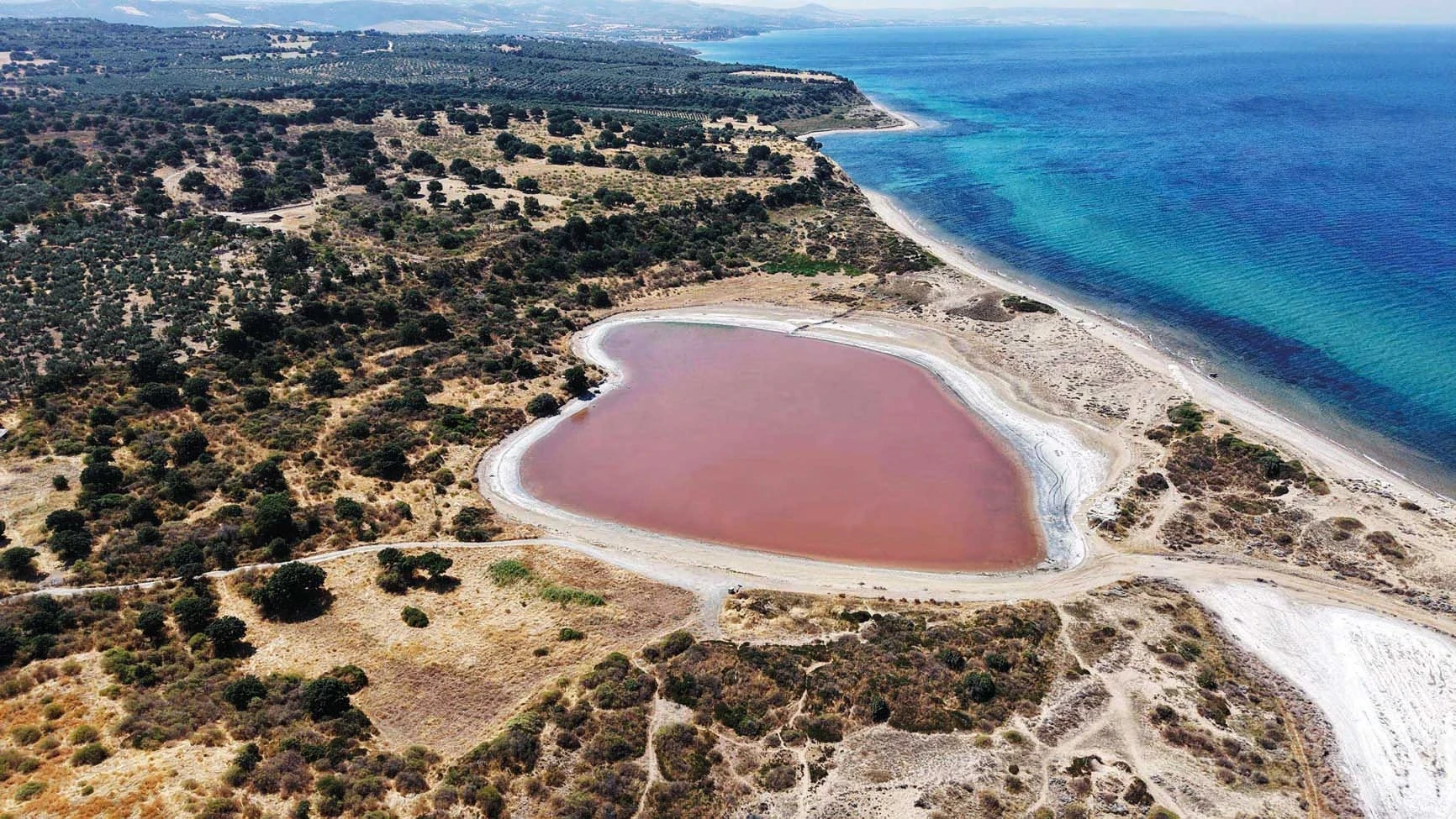 Hem kalp hem pembe