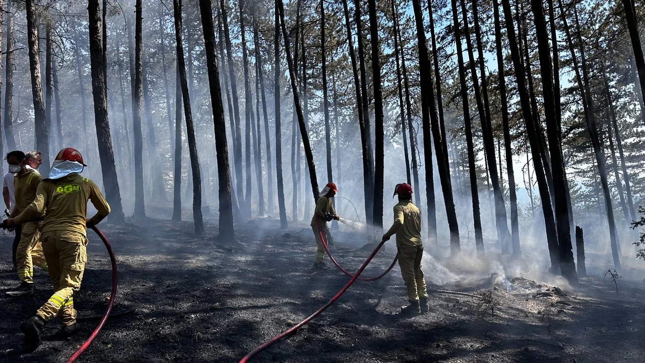 Kastamonu'da çıkan orman yangınına havadan müdahale edildi