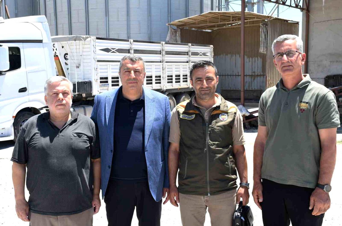 Malatya'da arpa ve buğday alımları sürüyor