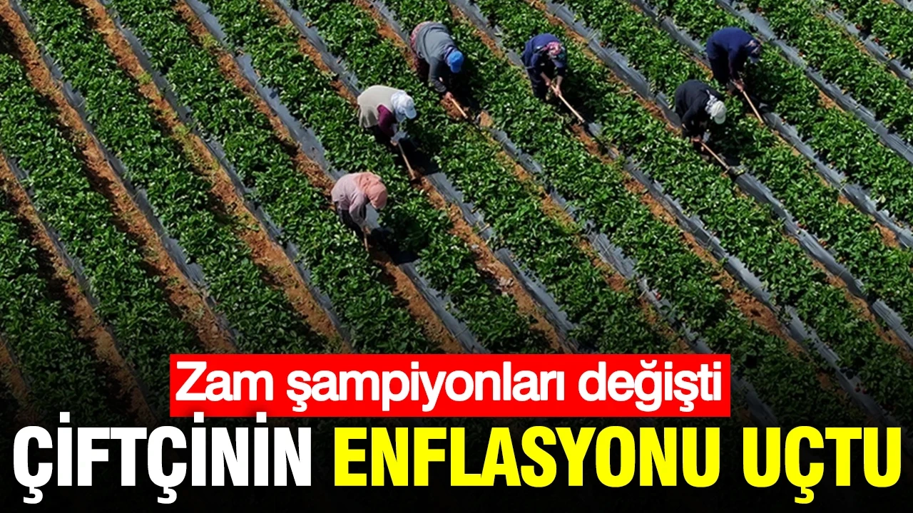 Çiftçinin enflasyonu uçtu: Zam şampiyonları değişti