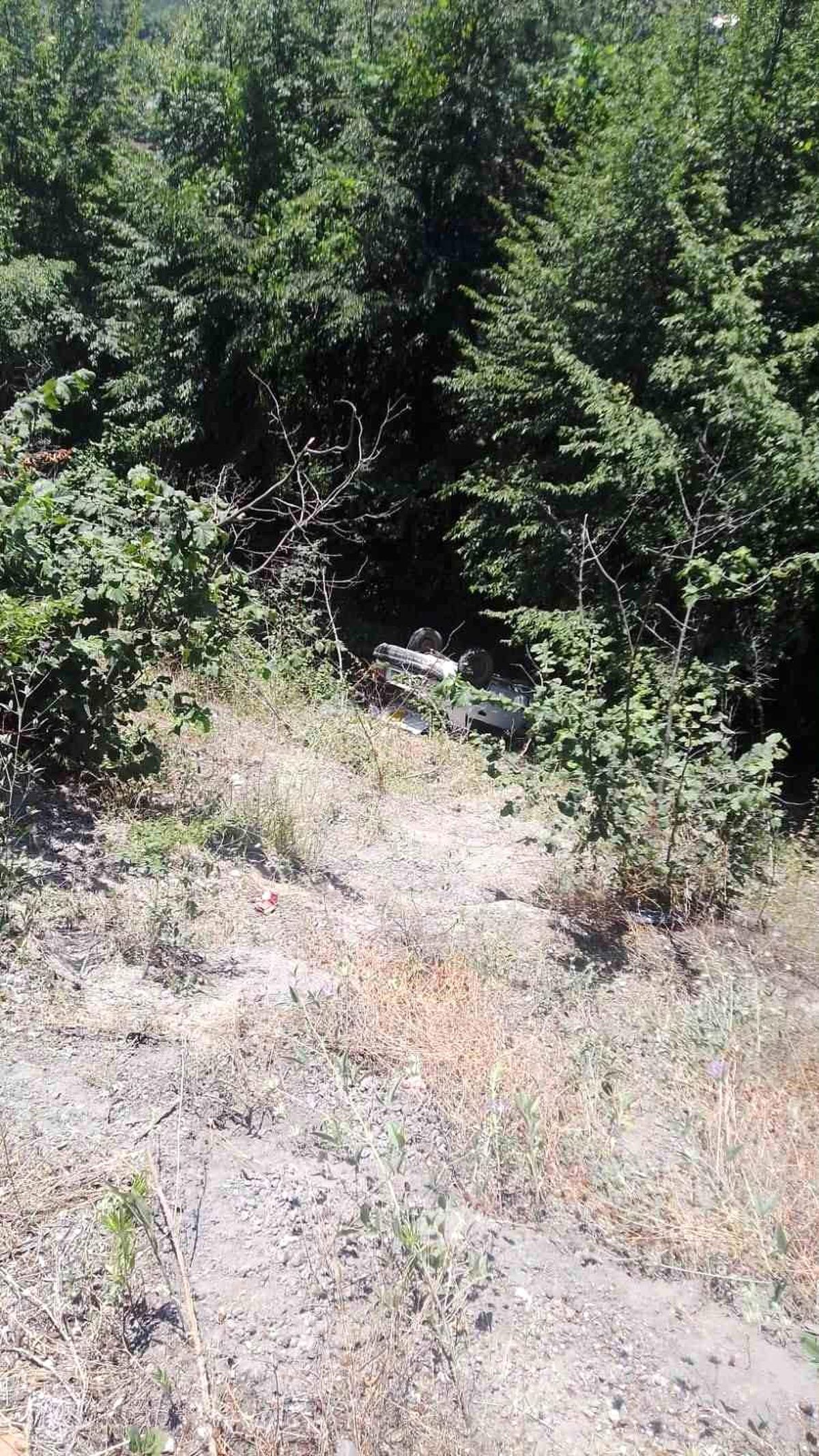 Ormanlık alana uçan otomobildeki 3 kişi yaralandı