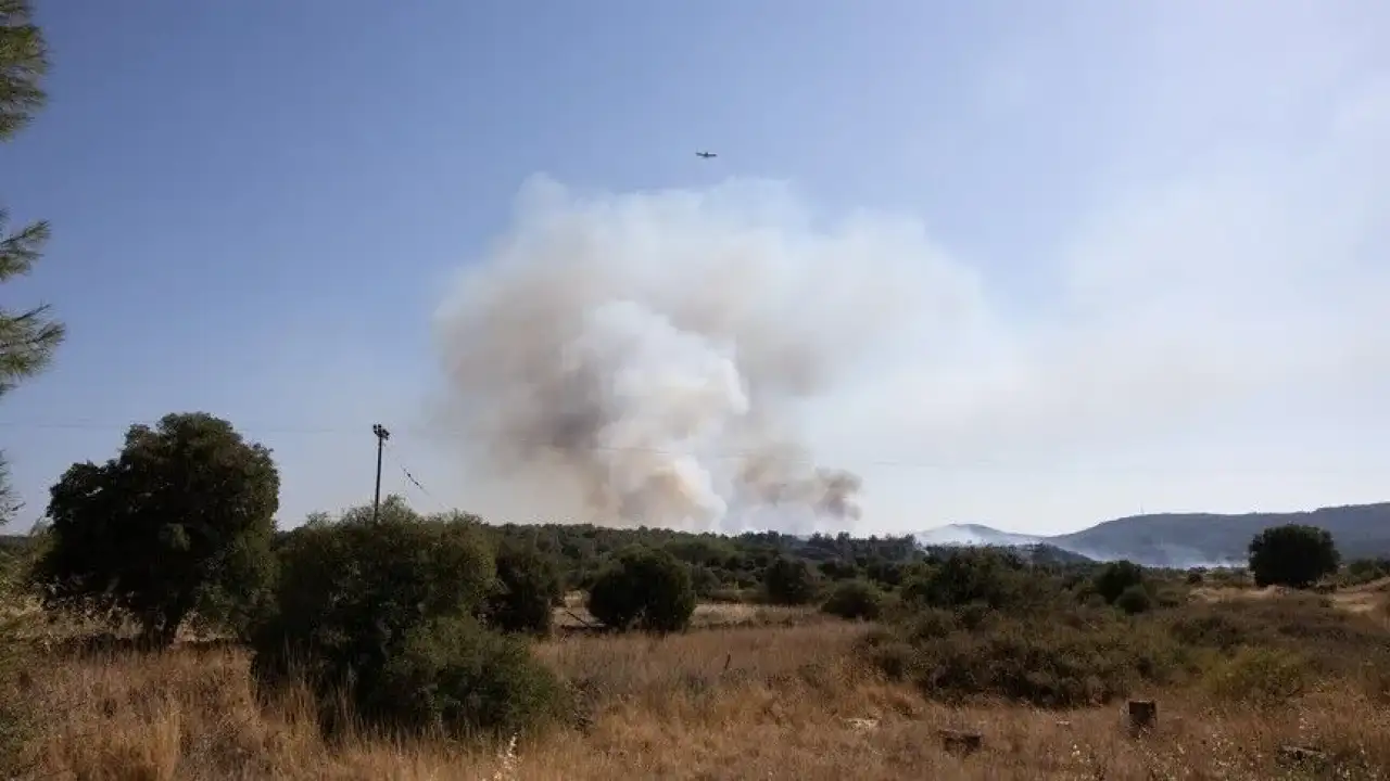 Midilli Adası'nda orman yangını çıktı