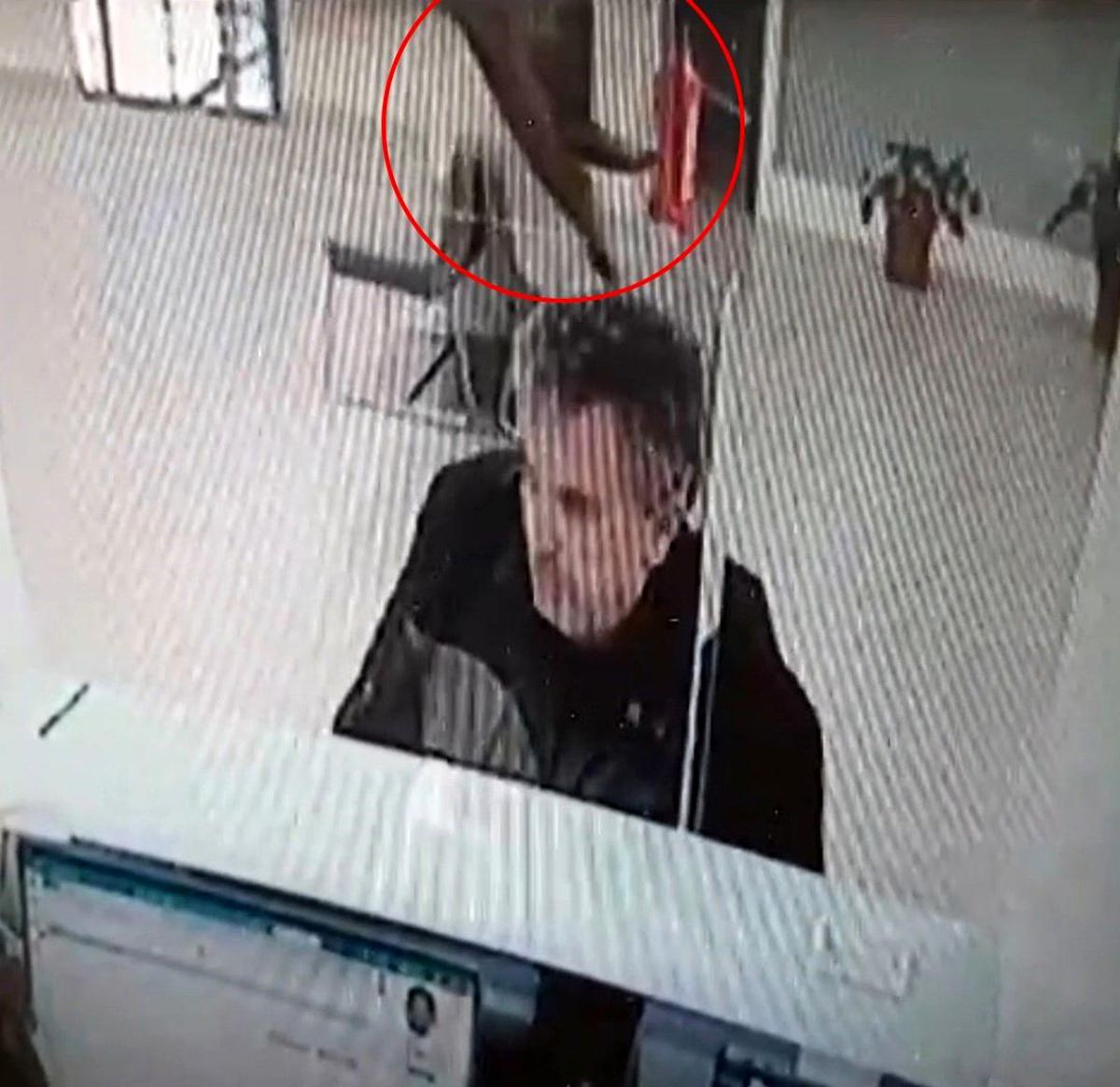 Bankada işlem yaparken üzerine kedi düştü