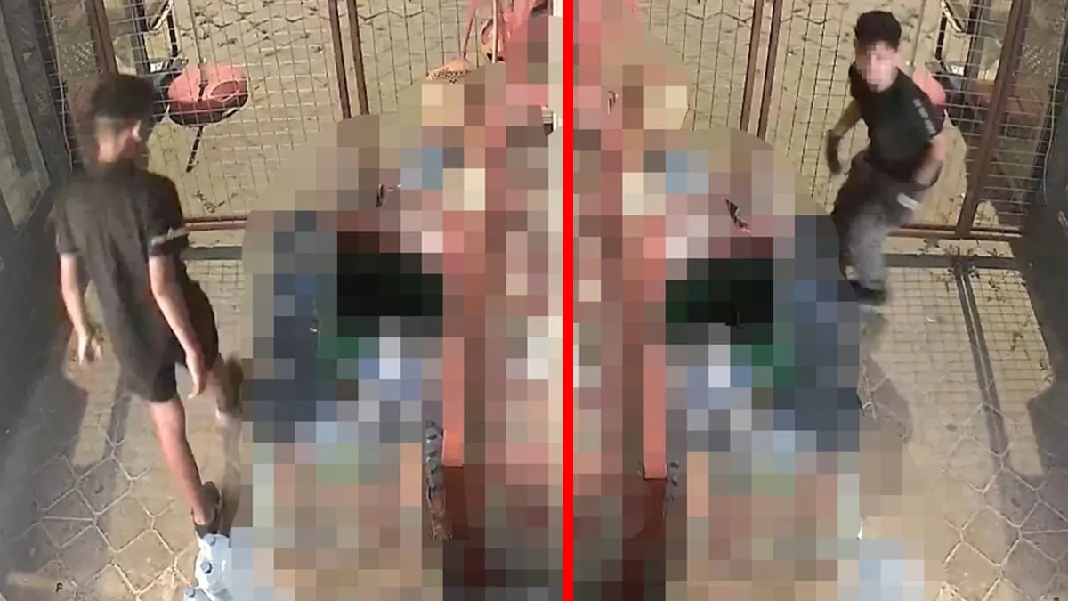 Aydın’da akılalmaz hırsızlık! Kapı kilidini kırıp ne varsa çaldılar: Çocukların pişkin tavırları kameraya böyle yansıdı!