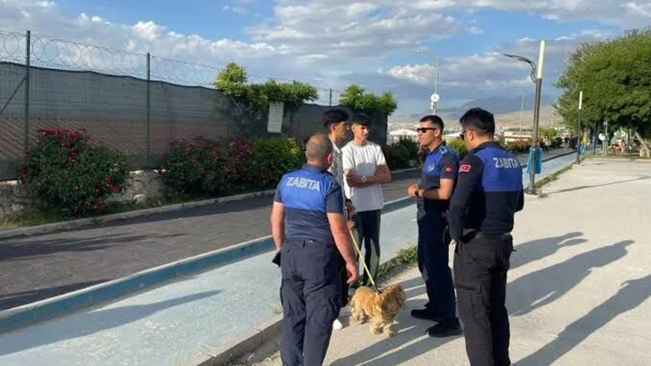 Van’da kuduz alarmı! Mahalle karantinaya alındı