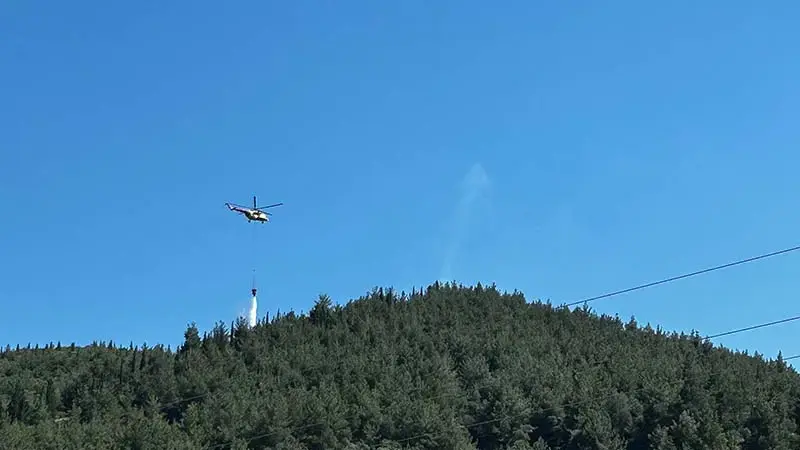 Manisa'da orman yangını