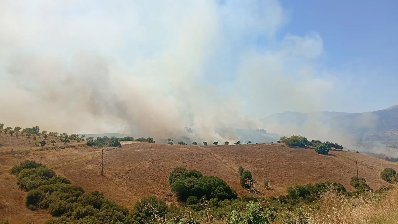 İzmir'de Çıkan Yangın Kontrol Altında