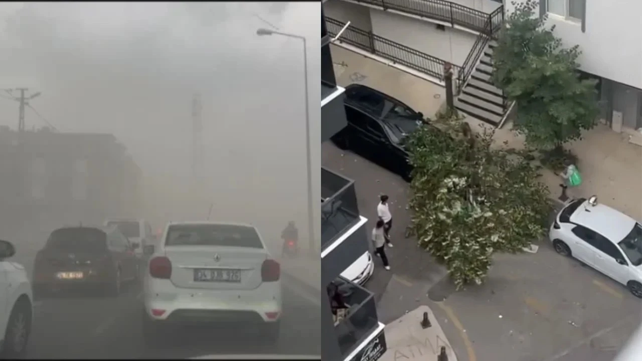 İstanbul'da fırtına etkisi: Ağaçlar devrildi, çatılar uçtu, uçaklar havada tur attı
