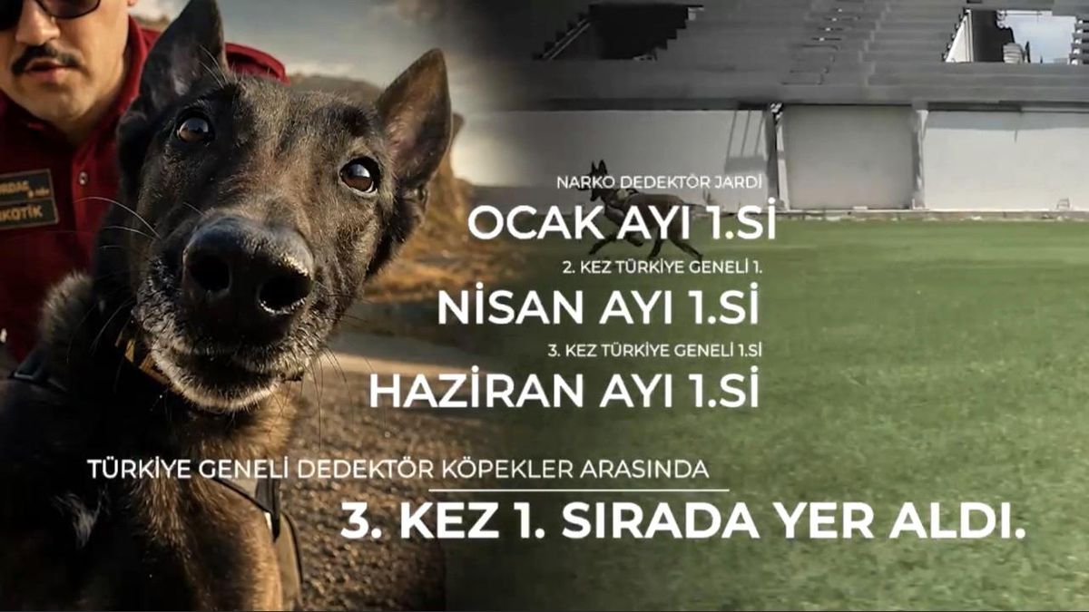 Narkotik köpeği 'Jardi' üçüncü kez zirvede