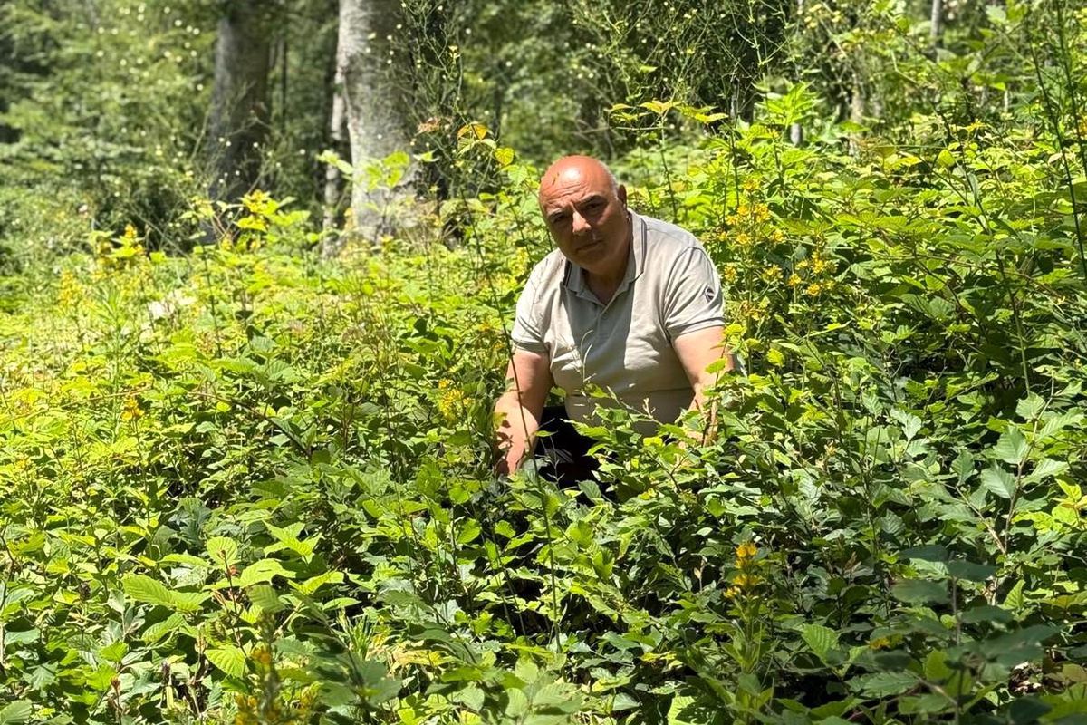 Düzce'de ormanlarda gençlik bakım çalışmaları sürüyor