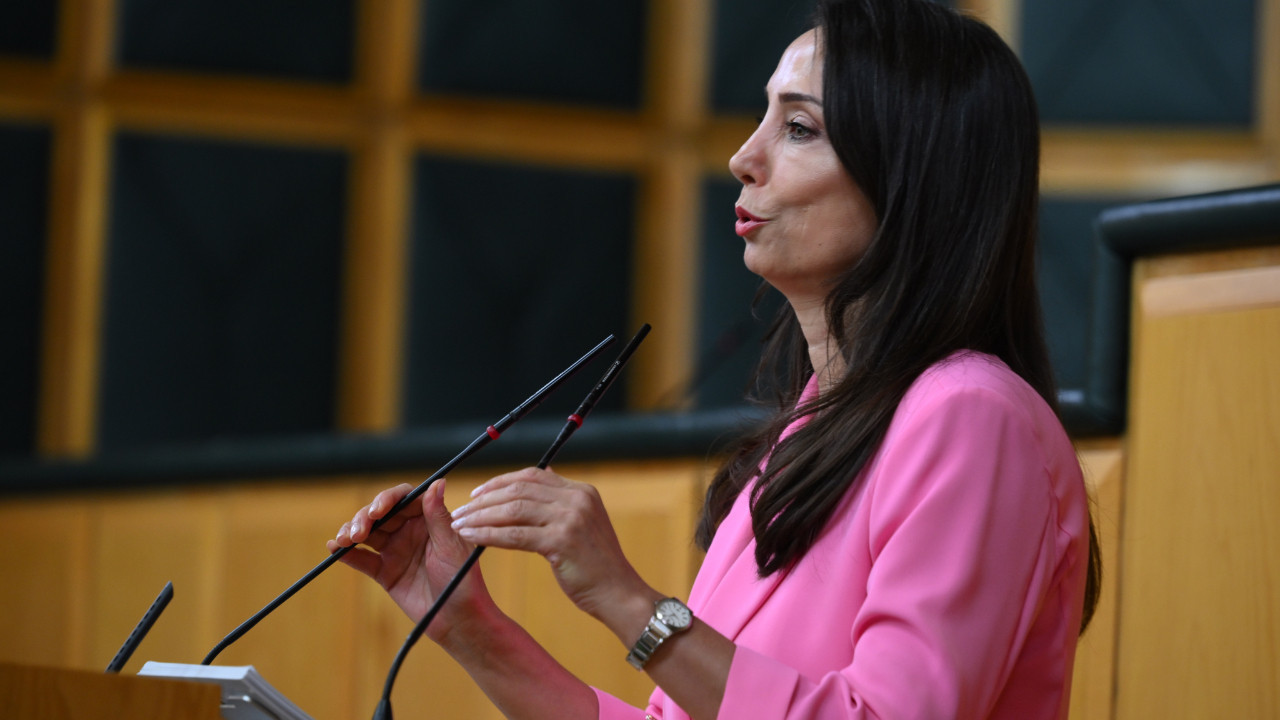 Tülay Hatimoğulları'ndan süreç yasası için Odyssey benzetmesi: Eve varmakla eve dönmek aynı şey değil