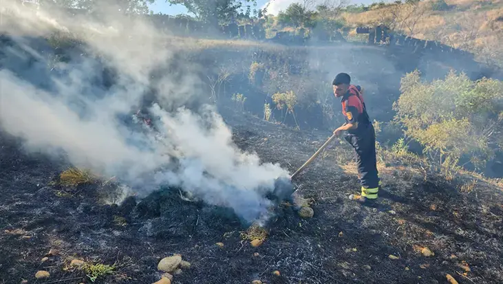 Siirt'te alevler fıstık bahçesini sardı! Dakikalar içinde zarar büyüdü