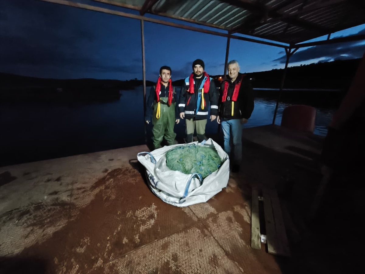 Kastamonu'da barajda kaçak avlanan sazanlar yeniden suya bırakıldı