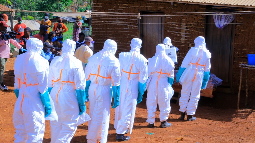 Fransa'daki G7 Zirvesi'nde kanser, ebola salgını ve ortaklıklara ilişkin bildiriler kabul edildi