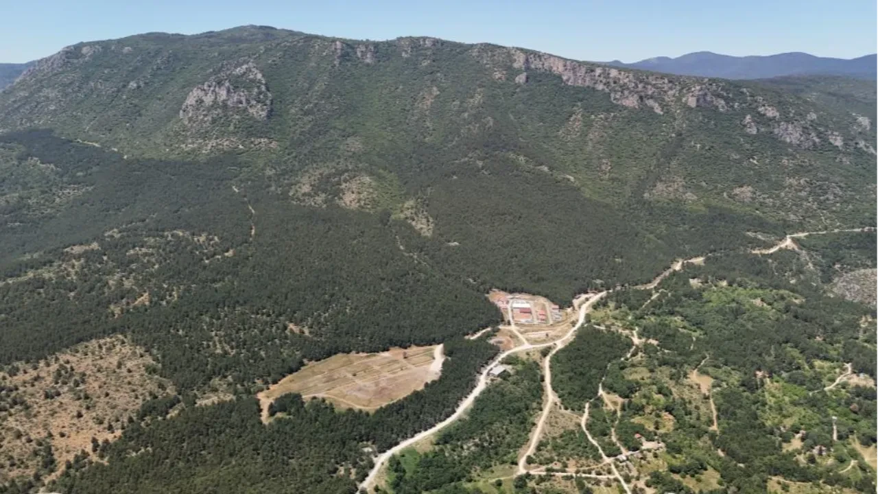 35 gündür kayıp olarak aranan üniversite öğrencisi ormanda ölü bulundu