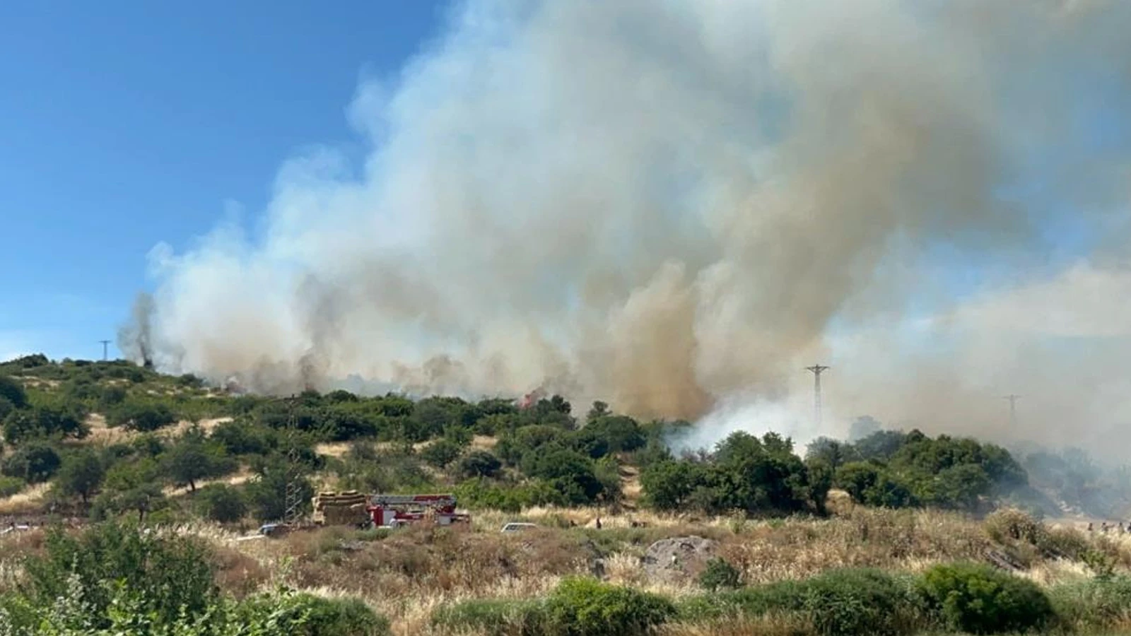 Çanakkale'de orman yangını