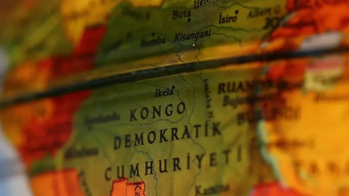 Kongo Demokratik Cumhuriyeti'nde yeni maymun türü keşfedildi! Çıkardığı sesler ile ayırt ediliyor…