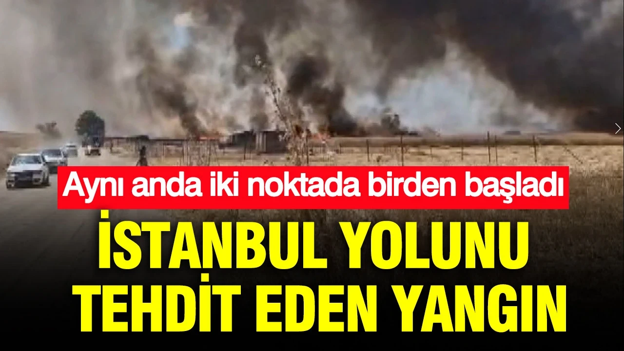 İstanbul yolunu tehdit eden yangın: Aynı anda iki noktada birden başladı