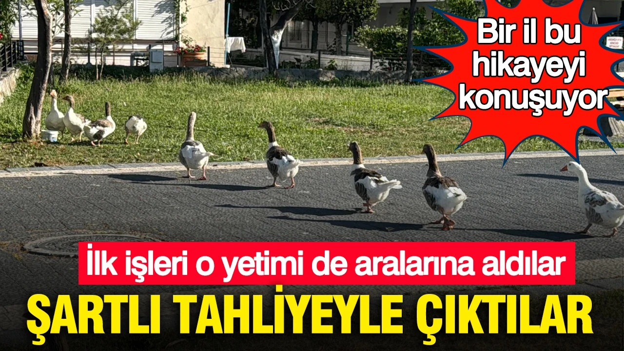 Şartlı tahliyeyle çıktılar: İlk işleri o yetimi de aralarına aldılar: Bir il bu hikayeyi konuşuyor