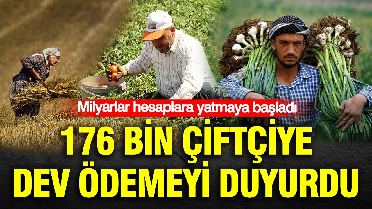 TMO'dan rekor hububat alımı: Milyarlar hesaplara yatmaya başladı