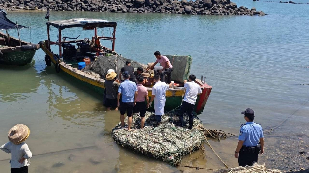 7 gün boyunca okyanusta ölümle savaştı! Hayatta kalmak için çiğ yengeçle beslendi