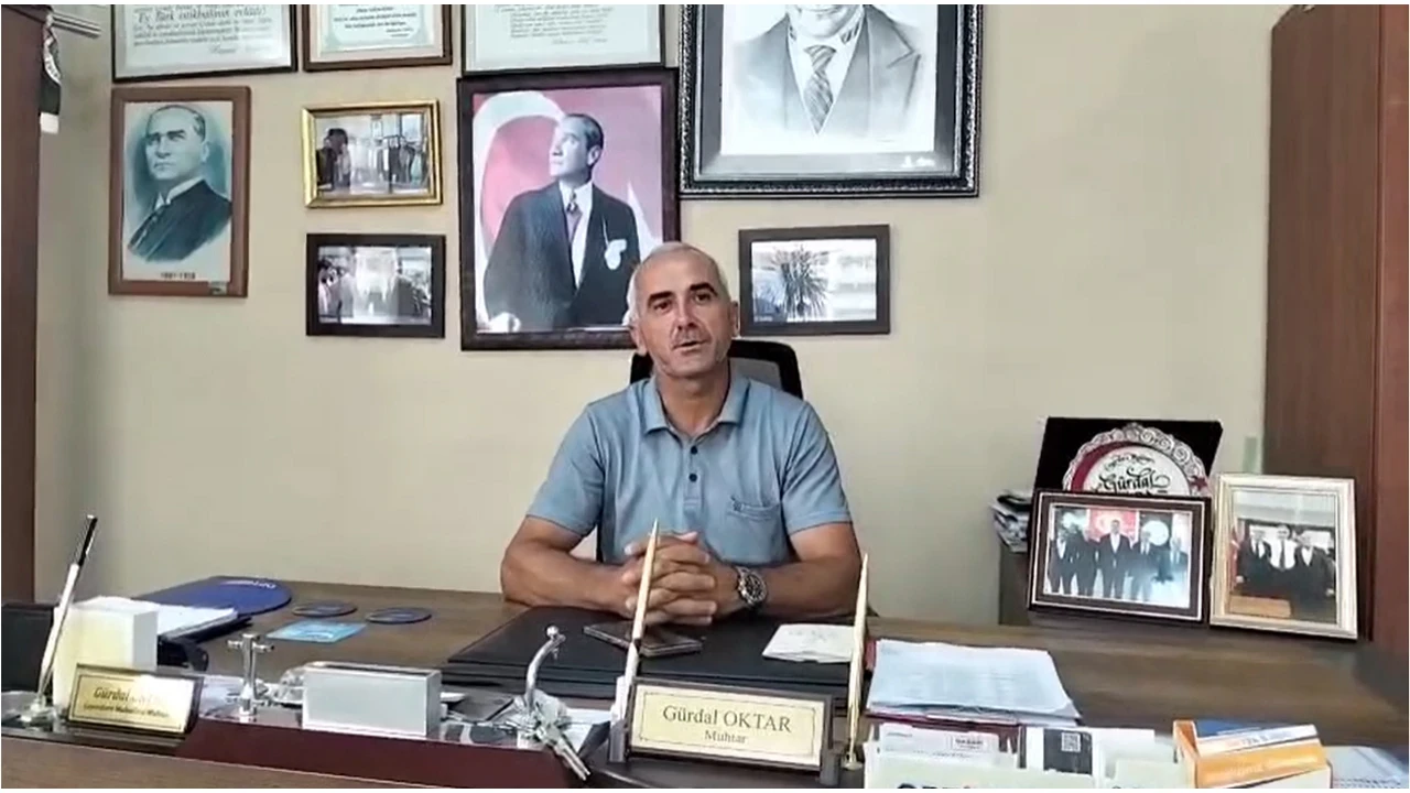 İstanbul’da yaz ortasında kurtlar saldırdı, yedi koyun telef oldu