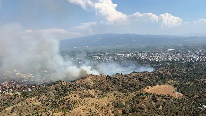 Aydın'da tarım arazisinde yangın