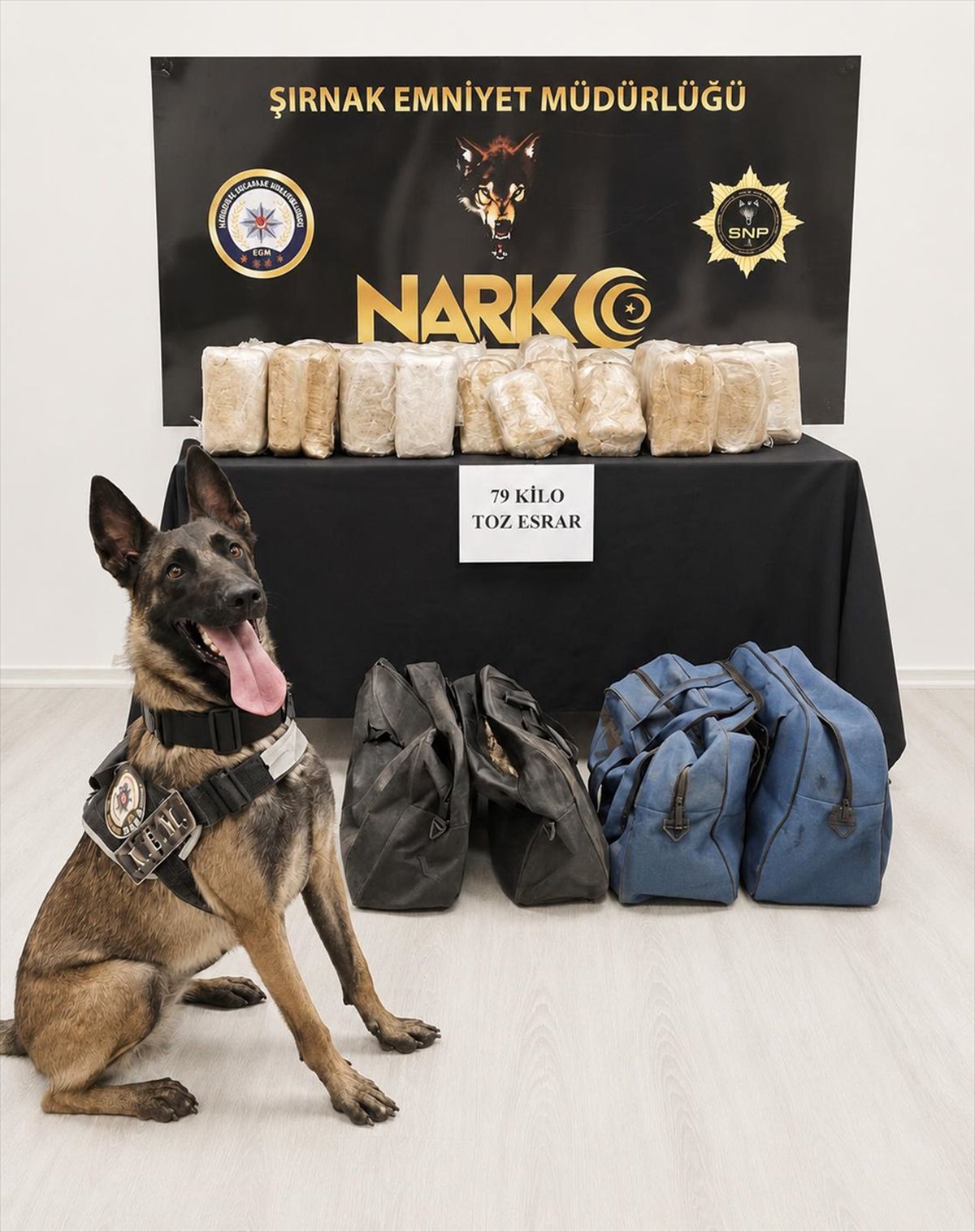Şırnak'ta tırda 79 kilogram esrar ele geçirildi