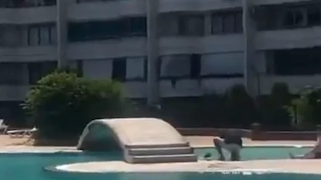 Tesettürlü diye havuza alınmadı: Mersin'de 28 Şubat artıkları girişi yasakladı