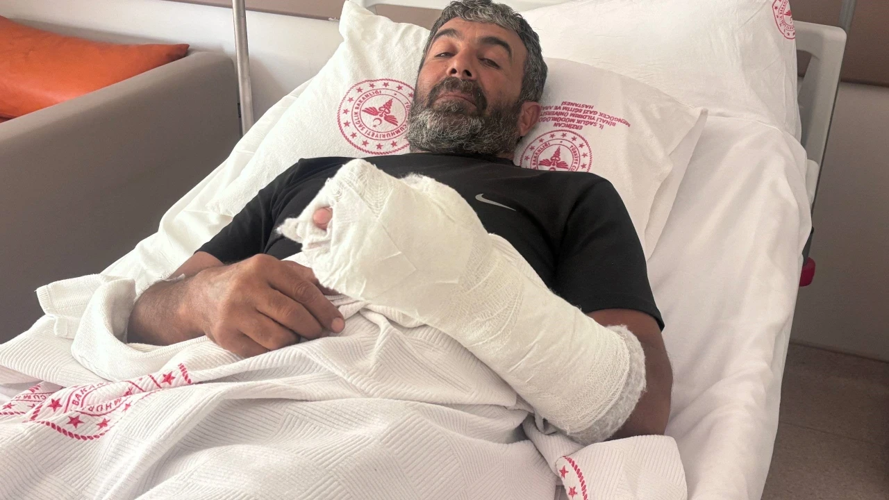 Ayı saldırısından yaralı kurtulan çiftçi yaşadıklarını anlattı: "Kürek olmasaydı sonum ne olurdu bilemedim"