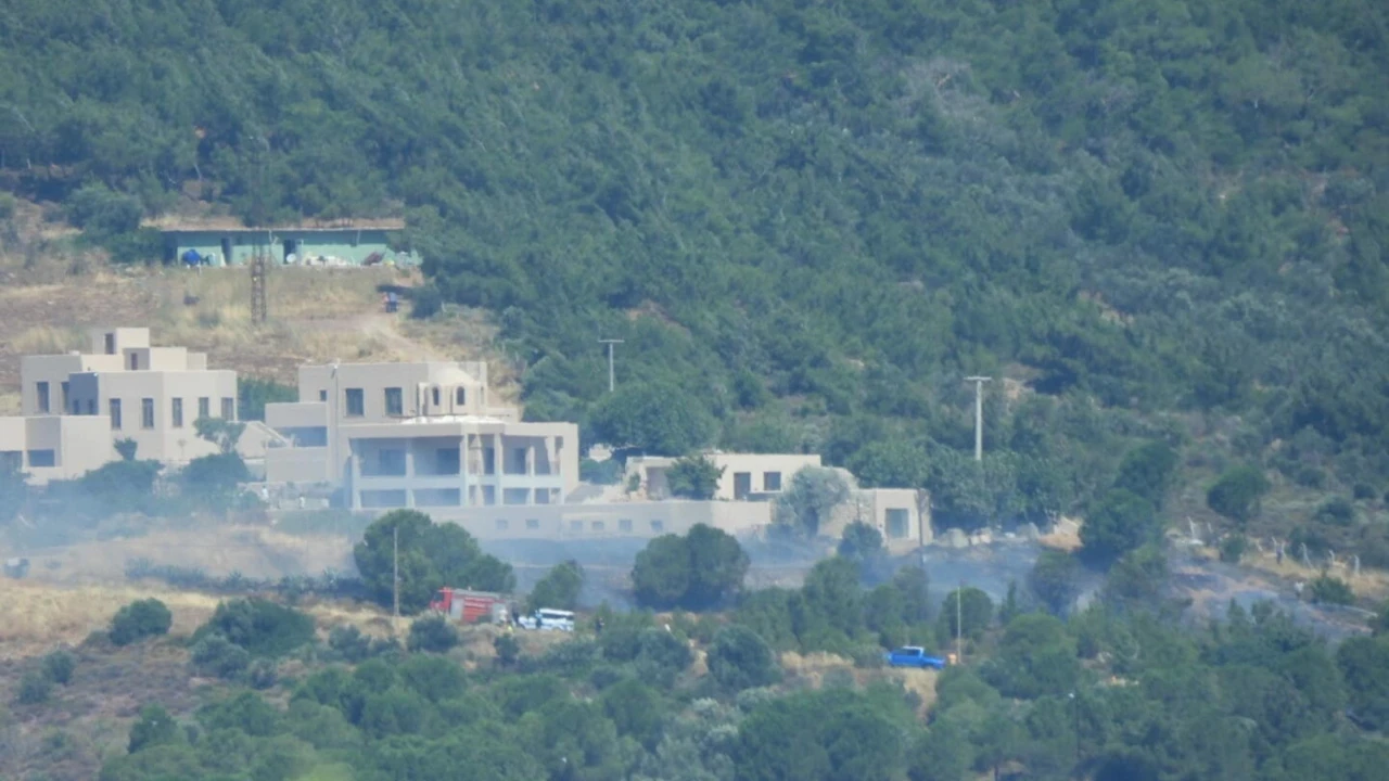 Cunda Adası'nda ormanlık alanda yangın