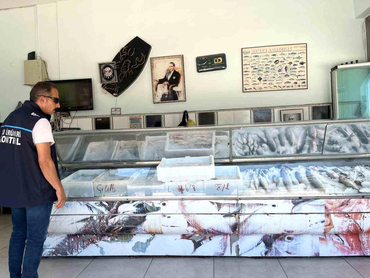 Didim'de su ürünleri denetimleri sürüyor