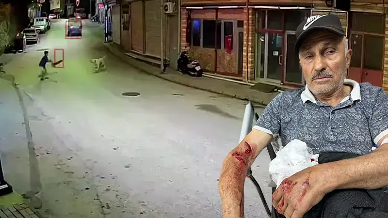 Ordu'da skuterlı çocuk köpeklerin saldırısına uğradı; o anlar kamerada