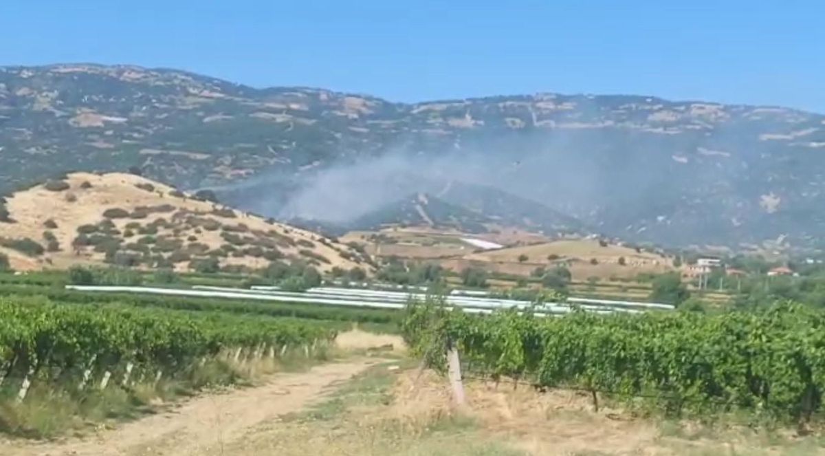 Manisa'da maki yangınında alevler ormana sıçradı